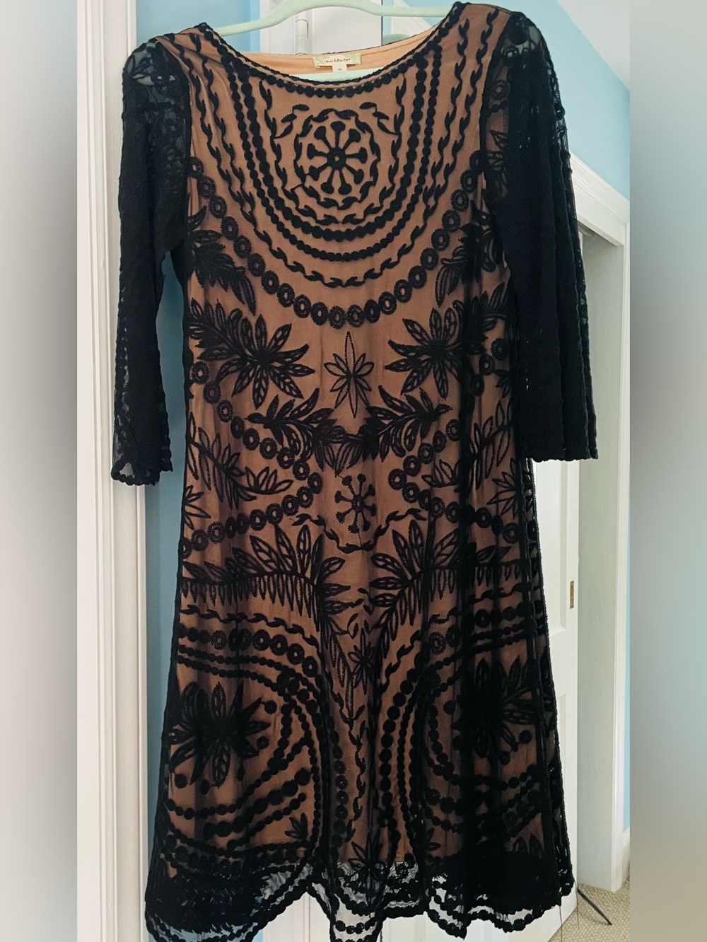 Nurture Black Lace Overlay Dress with Nude Slip